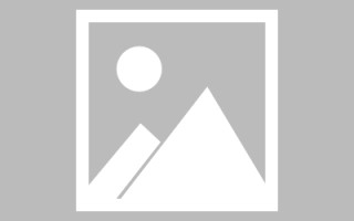 当阳网站建设合同套路（网站建设合同书该怎么写）
